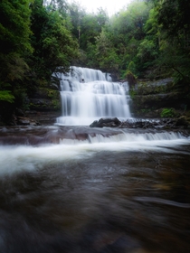 Liffey Falls - Tasmania Australia  IG andyescapes OC