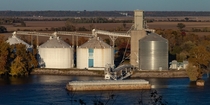 Loading Grain on the Mississippi 