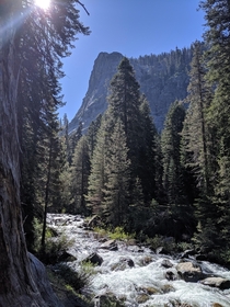 Lodgepole Sequoia National Park California 
