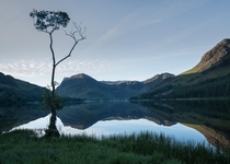 Lone Tree Lake District UK 