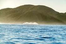 Lone waves off Baja 