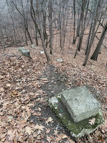 Lonely old walkway footings in the middle of the woods