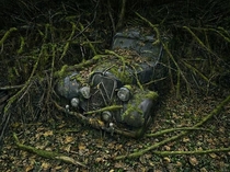 Long abandoned car in the woods 
