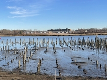 Long abandoned lumber company pier - Neponset River in Boston MA