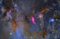 Long exposure of the California Nebula and Pleiades reveal beautiful clouds of dark nebulae and stars