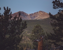 Longs Peak sunrise Colorado 