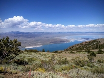 Looking down on Mono Lake from a meadow high in the Eastern Sierra California  x