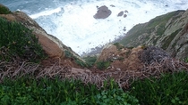 Looking down the Cliff at Cabo da Roca OC   