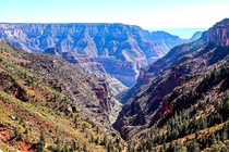 Looking into the north rim of the Grand Canyon AZ 