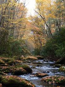 Looking upstream in the Great Smoky Mountains NC in autumn 
