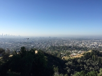 Los Angeles from Griffith Park 