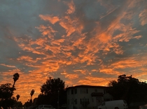 Los Angeles sunrise nofilter