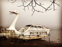 Lost swan pleasure cruiser Lake Nojiri Nagano Japan