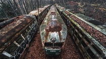 Lost Trains - Abandoned Train Trolley Graveyard in Woods 