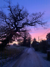 Lovely frosty morning