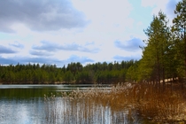 Lovely lake in the woods Estonia Valgehobuseme 