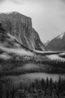 Low fog below El Capitan Yosemite National Park 