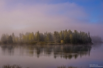 Low hanging mist at sunrise Oxbow Bend Tetons National Park Wyoming 