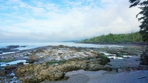 Low tide at Botanical Beach Vancouver Isalnd 