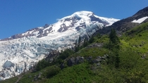 Lower Coleman Icefall Mount Baker WA 
