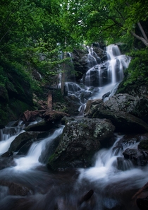 Lower Doyles Falls - Shenandoah National Park Virginia 