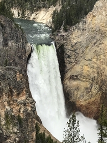 Lower Falls at Yellowstone Natl Park 