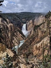 Lower Falls Yellowstone National Park 