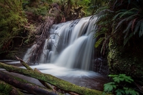 Lower Waipohatu Falls hidden deep in the Catlins New Zealand 