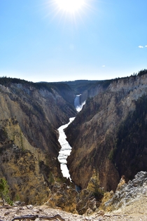Lower Yellowstone Falls 