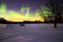 Lucky number  displayed from the gorgeous Northern Lights Manitoba Canada Aurora Borealis 