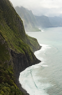 Lush and curvy - the tallest sea cliff in the world gtm Molokai HI 