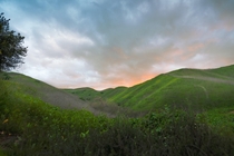 Lush hills after the rain in California USA 