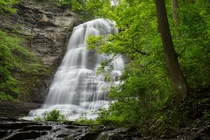 Lush waterfall in Ithaca NY OC
