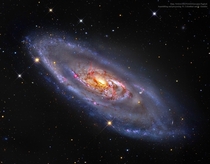 M A Spiral Galaxy with a Strange Center 