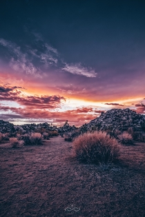 Magical Desert Sunset in Joshua Tree National Park 