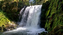 Majestic Falls Oregon