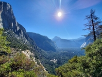 Majestic Yosemite OC Aug   x 