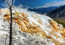 Mammoth Hot Springs Yellowstone National Park 