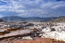 Mammoth Hot Springs Yellowstone National Park WY USA 