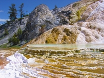 Mammoth Hot Springs - Yellowstone National Park Wyoming USA 