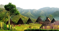 Manggaraian houses in the tribal village of Wae Rebo Indonesia 
