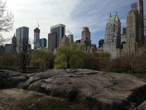 Manhattan from central park 
