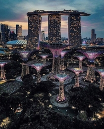 Marina Bay Sands and Gardens by the Bay Singapore Singapore
