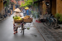 Market Seller Hoi An Vietnam 