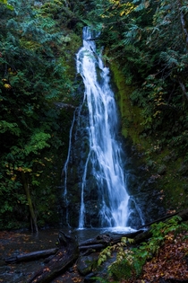 Marymere Falls in Olympic National Park Washington 