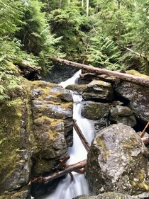 McBey Creek Vancouver Island BC 