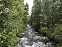 McKenzie River in Foster Oregon  x