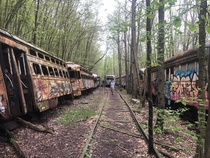 Me and my friends in windber PA exploring abandoned transit cars