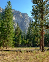 Meadow in Kings Canyon National Park OC 