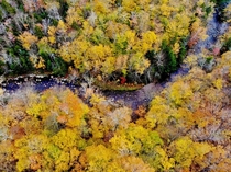 Meandering River and Fall Foliage Jackson New Hampshire   x 